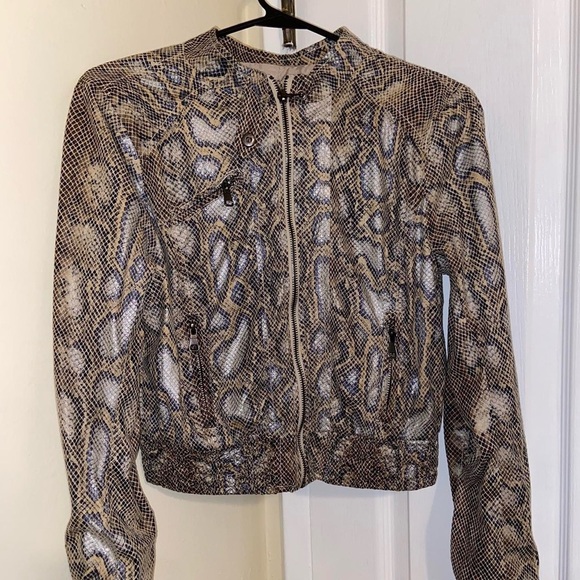 Cavalini Jackets & Blazers - Women's Snake Print Jacket